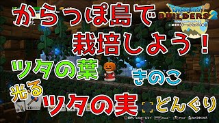 【ドラゴンクエストビルダーズ2】からっぽ島で栽培しよう！ ツタの葉･ツタの実･きのこ･どんぐり【DQB2】 [upl. by Ecurb327]