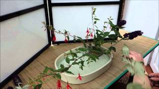 Ikebana in 10 minutes Part 2 [upl. by Papotto369]