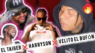 EL TAIGER ❌ HARRYSON ❌ VELITO EL BUFÓN  ESTRENO LBMA [upl. by Agnesse]