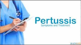 Pertussis Symptoms and Treatment [upl. by Eirtemed]