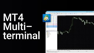 How to use the MT4 MULTITERMINAL  Manage MULTIPLE accounts on MetaTrader 4 [upl. by Ciprian895]