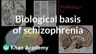 Biological basis of schizophrenia  Behavior  MCAT  Khan Academy [upl. by Fendig]