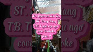 47 Người em xóm đạo Sáng tác Bằng Giang Cover Karaoke phần 2 [upl. by Anidualc233]