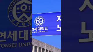 2024 autumn yonsei university yonseiuniversity seoul koreatravel [upl. by Gargan615]