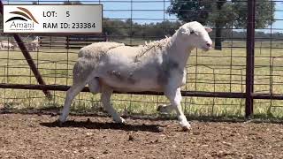 LOT 5 AMANI [upl. by Shear]