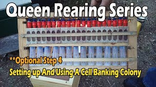 How To Setup A Queen Banking ColonyOptional Video 4 JCs Queen Rearing Series [upl. by Hallee358]