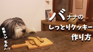 犬おやつ手作りレシピ｜バナナのしっとりクッキーの作り方【もふ飯】 [upl. by Wertheimer]