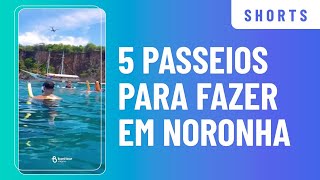 5 passeios para fazer em Noronha Shorts [upl. by Aseneg]