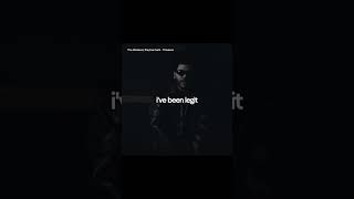 weeknd playboicarti timeless [upl. by Aimee746]