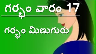 Pregnancy  Telugu  Week 17  గర్భం  వారం 17 [upl. by Hedy9]