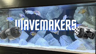 Why You Need Wavemakers in Cichlid Tanks [upl. by Leotie]