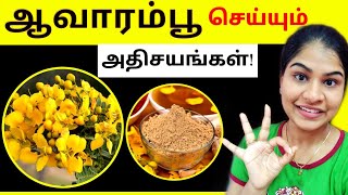 Aavaram Poo Benefits in Tamil  Avarampoo  Avaram poo [upl. by Stretch]