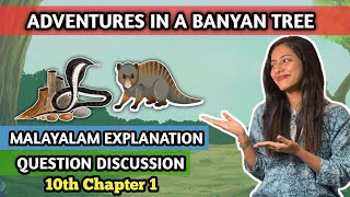 Adventures in a Banyan Tree  Malayalam explained SSLC English chapter 1 [upl. by Nnybor]