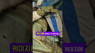 무의식 중에 잘못 만졌을 경우 선박 기관장의 대처법  초기 대처가 가장 중요함 [upl. by Vigen]