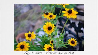 Viltrox 56mm f17 Fuji Review  Way Better Than It Needed to Be [upl. by Amikat837]