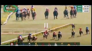 Hyderabad derby race  2  The Royal Calcutta Turf club cup Div  2 [upl. by Dulcea]