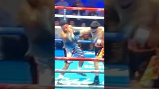 UpCloseSloMo WOW Joel Iriarte with Hearns like brutal right cross KO of Stevens boxing boxeo [upl. by Fates]