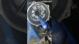 Honda trx 250 rear axle bearingsremoval part two [upl. by Okkin]