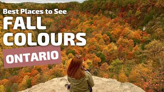 5 Best Places in Ontario to See Fall Colours [upl. by Hodge]