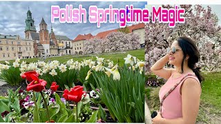 Vibrant Spring Blossoms in poland  Easter Market Wawel Royal Castel Krakow 2024 [upl. by Yllom]