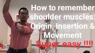 SHOULDER MUSCLES  Origin Insertion and Movement [upl. by Eenoj]