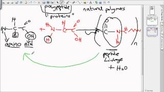 level 3 polymers [upl. by Laemaj]