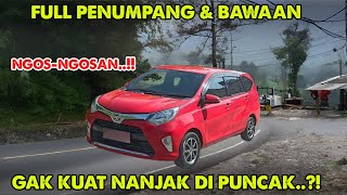 TRIP KE PUNCAK FULL PENUMPANG amp BAWAAN CALYA KITA SIKSA SAMPE NGEMPOS [upl. by Fulcher]