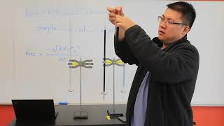 Reaction Rate Experiment  Oxalic Acid and Potassium Permanganate [upl. by Scrivenor]