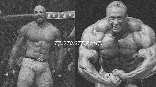 Testosterone edit  Bero 02 [upl. by Atinehc]