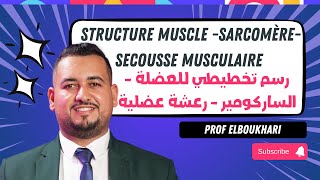 Partie 1  Structure muscle sarcomèresecousse musculaire رسم تخطيطي للعضلة  الساركومير رعشة [upl. by Singband765]