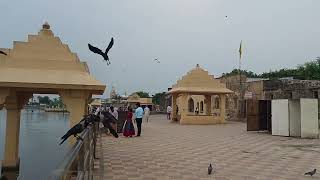 Triveni Sangam GirSomnath [upl. by Innes]