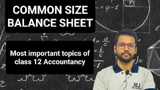 COMMON SIZE BALANCE SHEET Class 12 Accountancy  important topics MJ Tutorial [upl. by Eberto638]