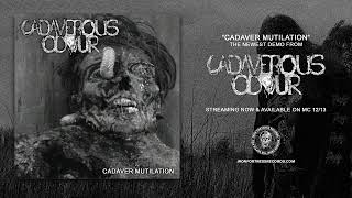 CADAVEROUS ODOUR  CADAVER MUTILATION EP  Iron Fortress Records [upl. by Venice]