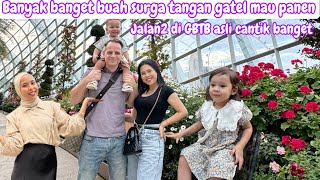 BANYAK BUAH SURGA TANGAN GATEL PENGEN PANEN  JALAN2 KE GARDEN BY THE BAY CANTIK BANGET [upl. by Marcel]