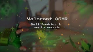 🌸 Valorant ASMR 🌸 [upl. by Wootan60]