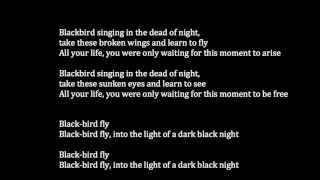 The Beatles  Blackbird Meaning [upl. by Kanor]