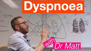 Dyspnoea  Respiratory System [upl. by Reinaldo67]