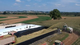 Filling all 3 Bunks in ONE DAY  Corn Silage Harvest 2023 [upl. by Zared]