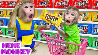 Baby Monkey NeNe Go To The Supermarket To Buy Mixing Rainbow MampM Chocolate Candy NENE ANIMAL MONKEY [upl. by Rhtaeh]