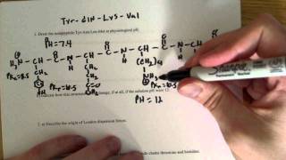 More Peptide bond formation and Amino Acid structure problems [upl. by Adnolrehs]