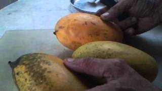 HOW TO FIND OUT  ORGANIC MANGOES VS CHEMICAL TREATED MANGOES [upl. by Eecyac]