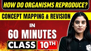 HOW DO ORGANISMS REPRODUCE in 60 Minutes  Science Chapter 8  Class 10th CBSE Board [upl. by Adnorahc]