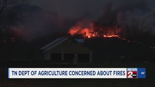 TN Department of Agriculture concerned about fires [upl. by Yerac]