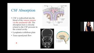 Neurophysiology Cerebrospinal Fluid Blood Brain Barrier Cerebral Blood Flow Autoregulation [upl. by Aibos]