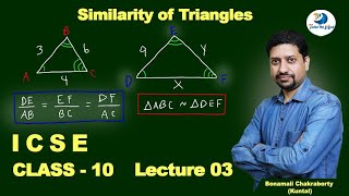 How You Can Master Similarity in Class 10 Maths  📚 [upl. by Marelda]