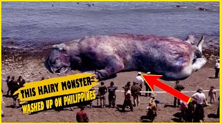 9 bizarre creatures that washed up on beaches  UNKNOWN FACTS [upl. by Nealey]