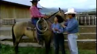 Sesame Street  Montana  Learning About Horses [upl. by Aamsa957]