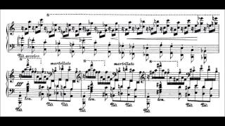 Franz Liszt  2 Concert Etudes S 145 ALLHALLOWTIDE TRIBUTE [upl. by Seiden]