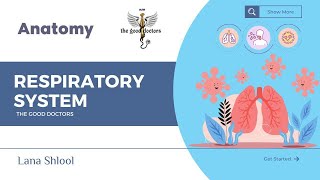 Lecture 2  Pharynx  Anatomy RS [upl. by Krilov524]