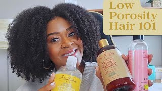 Best Products for Low Porosity Hair amp Ingredients to Avoid [upl. by Shaeffer635]